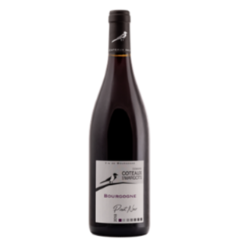 Bourgogne, Pinot Noir, Coteaux des Margots (Rouge) Main Image